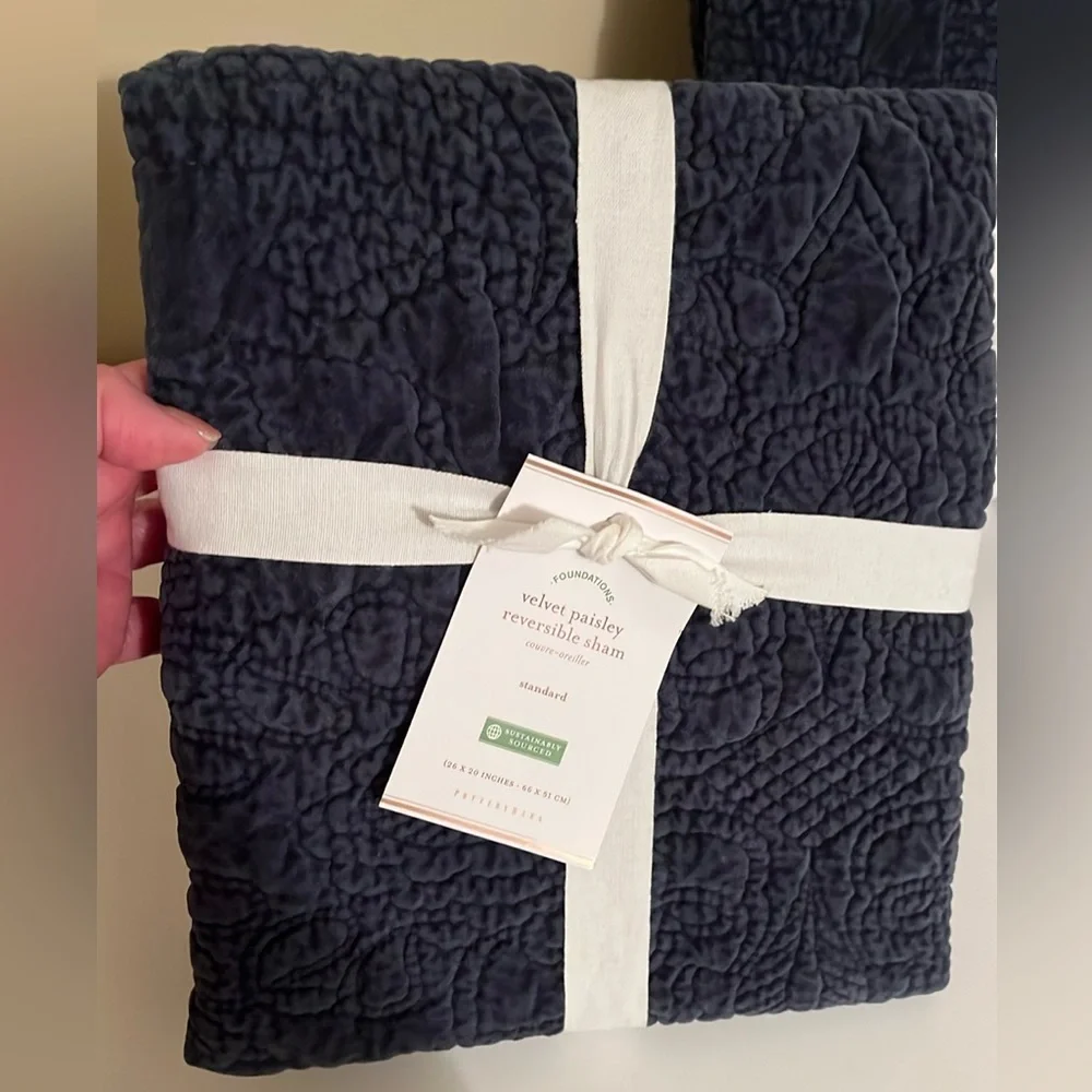 Pottery Barn pillow shams set of two NWT